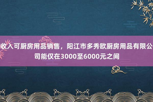 收入可厨房用品销售，阳江市多秀欧厨房用品有限公司能仅在3000至6000元之间