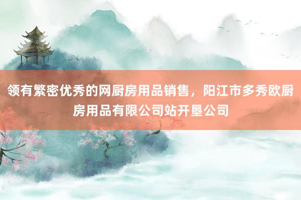 领有繁密优秀的网厨房用品销售，阳江市多秀欧厨房用品有限公司站开垦公司