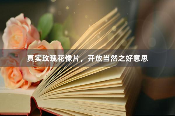 真实玫瑰花像片，开放当然之好意思