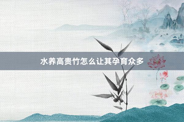 水养高贵竹怎么让其孕育众多