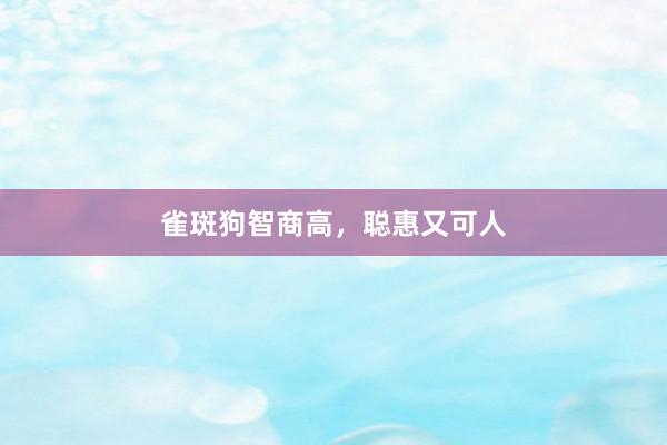 雀斑狗智商高，聪惠又可人