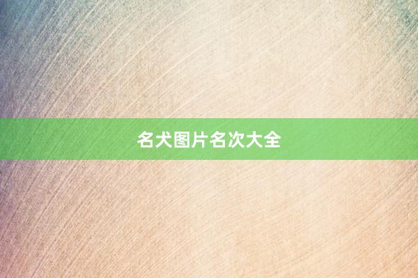 名犬图片名次大全