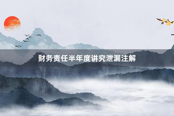 财务责任半年度讲究泄漏注解